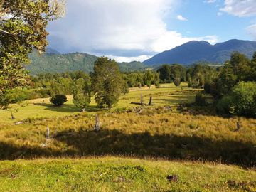 Parcela en venta en LAGO VERDE