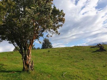 Parcela en venta en LAGO VERDE