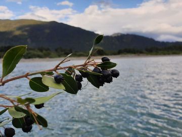 Parcela en venta en LAGO VERDE