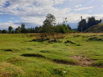 Parcela en venta en LAGO VERDE