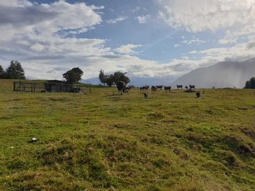 Parcela en venta en LAGO VERDE
