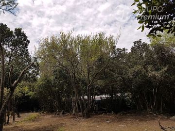 Parcela en Venta en A34403 - Venta Parcela Ensenada de Aguila Sur -2 Hectáreas - Paine