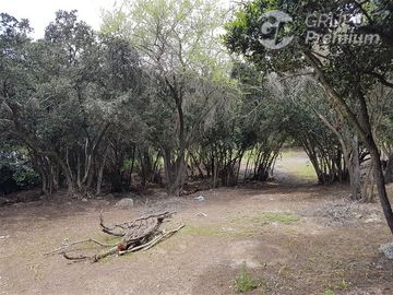 Parcela en Venta en A34403 - Venta Parcela Ensenada de Aguila Sur -2 Hectáreas - Paine