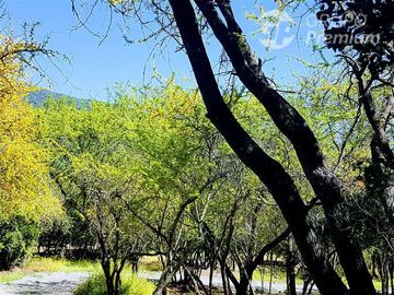Parcela en Venta en A34403 - Venta Parcela Ensenada de Aguila Sur -2 Hectáreas - Paine
