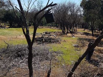 Parcela en Venta en A34403 - Venta Parcela Ensenada de Aguila Sur -2 Hectáreas - Paine