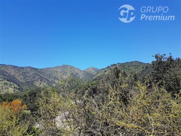 Parcela en Venta en A34403 - Venta Parcela Ensenada de Aguila Sur -2 Hectáreas - Paine