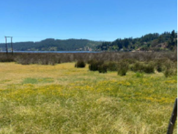 Sitio en Venta en C36317- Venta Parcela Sitio Lago Vichuquen - Huiñe - 156.250 Ha