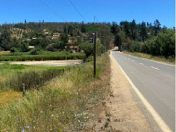 Parcela en Venta en C36317- Venta Parcela Sitio Lago Vichuquen - Huiñe - 156.250 Ha