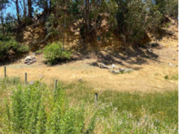 Parcela en Venta en C36317- Venta Parcela Sitio Lago Vichuquen - Huiñe - 156.250 Ha