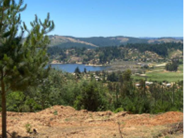 Parcela en Venta en C36317- Venta Parcela Sitio Lago Vichuquen - Huiñe - 156.250 Ha