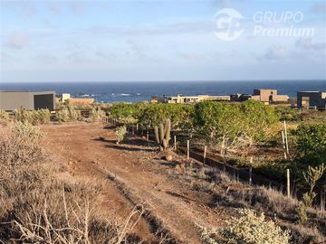 Parcela en Venta en CZ41292 - Venta Parcela Condominio en Canela - 6.450 mts.2