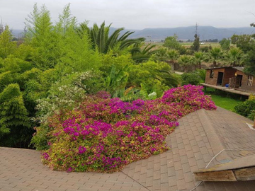 Casa en Venta en D44829 - Venta Casa Sector Pan de Azúcar, Coquimbo - 7D4B10E