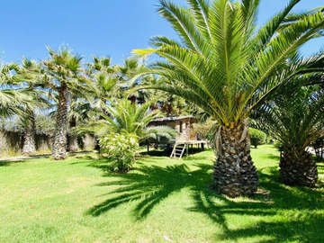 Casa en Venta en D44829 - Venta Casa Sector Pan de Azúcar, Coquimbo - 7D4B10E