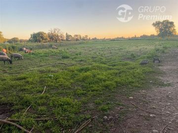 Parcela en Venta en Parcela con casa longavi, Sector la tarcera