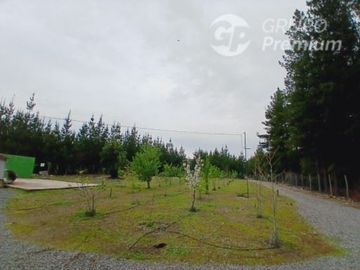 Agrícola en Venta en La puntilla