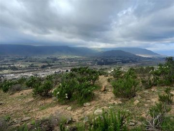 Parcela en Venta en Condominio Fundo el Recreo Algarrobito