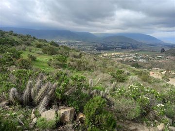 Parcela en Venta en Condominio Fundo el Recreo Algarrobito