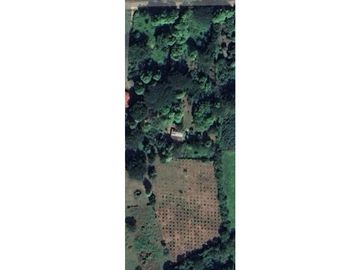 FINCA EN VENTA - Entre PIOJO y JUAN DE ACOSTA