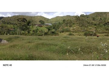 vendo finca san vicente Ferrer Antioquia, 7,7 hectáreas CH MO