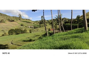vendo finca san vicente Ferrer Antioquia, 7,7 hectáreas CH MO