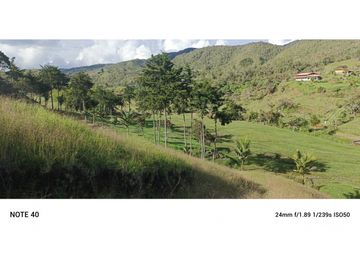 vendo finca san vicente Ferrer Antioquia, 7,7 hectáreas CH MO