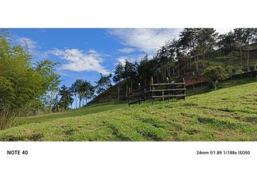 vendo finca san vicente Ferrer Antioquia, 7,7 hectáreas CH MO