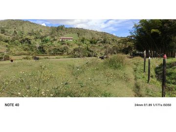 vendo finca san vicente Ferrer Antioquia, 7,7 hectáreas CH MO
