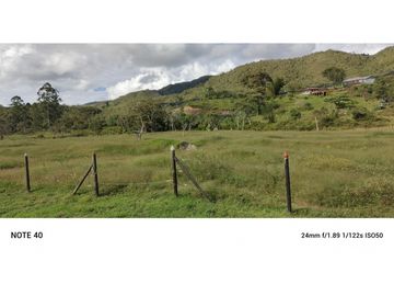 vendo finca san vicente Ferrer Antioquia, 7,7 hectáreas CH MO