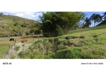vendo finca san vicente Ferrer Antioquia, 7,7 hectáreas CH MO