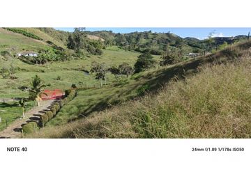 vendo finca san vicente Ferrer Antioquia, 7,7 hectáreas CH MO