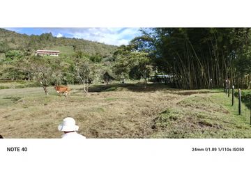 vendo finca san vicente Ferrer Antioquia, 7,7 hectáreas CH MO