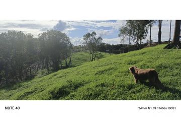 vendo finca san vicente Ferrer Antioquia, 7,7 hectáreas CH MO