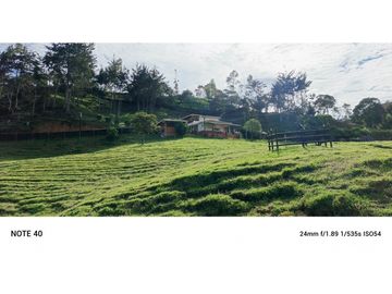 vendo finca san vicente Ferrer Antioquia, 7,7 hectáreas CH MO