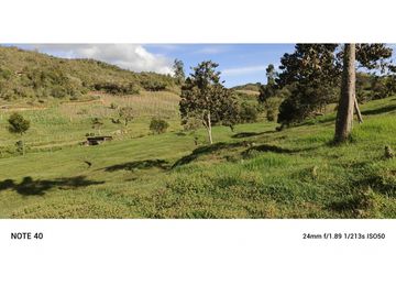 vendo finca san vicente Ferrer Antioquia, 7,7 hectáreas CH MO