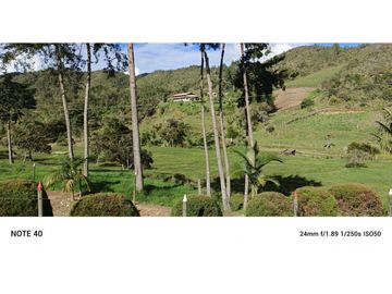 vendo finca san vicente Ferrer Antioquia, 7,7 hectáreas CH MO