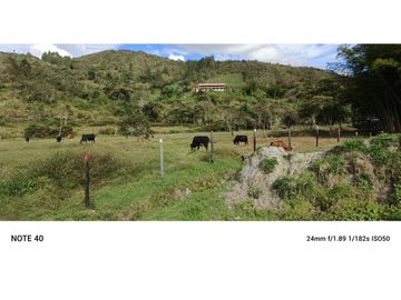vendo finca san vicente Ferrer Antioquia, 7,7 hectáreas CH MO