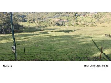 vendo finca san vicente Ferrer Antioquia, 7,7 hectáreas CH MO