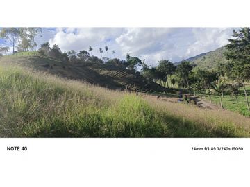 vendo finca san vicente Ferrer Antioquia, 7,7 hectáreas CH MO
