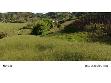 vendo finca san vicente Ferrer Antioquia, 7,7 hectáreas CH MO