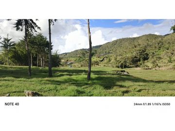 vendo finca san vicente Ferrer Antioquia, 7,7 hectáreas CH MO