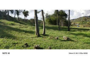vendo finca san vicente Ferrer Antioquia, 7,7 hectáreas CH MO