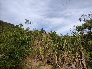 vendo finca san vicente Ferrer Antioquia, 14 hectáreas  CH- Mo