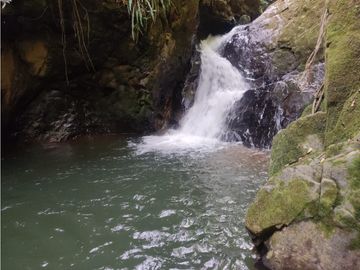 vendo finca san vicente Ferrer Antioquia, 14 hectáreas  CH- Mo