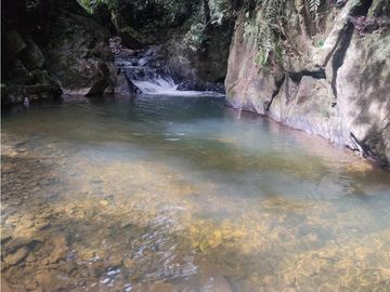 vendo finca san vicente Ferrer Antioquia, 14 hectáreas  CH- Mo