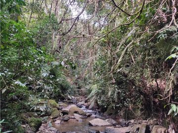 vendo finca san vicente Ferrer Antioquia, 14 hectáreas  CH- Mo