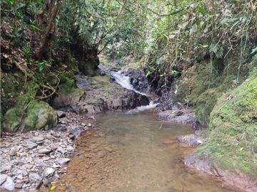 vendo finca san vicente Ferrer Antioquia, 14 hectáreas  CH- Mo