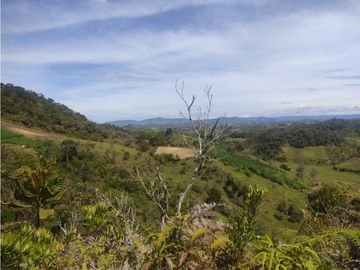 vendo finca san vicente Ferrer Antioquia, 14 hectáreas  CH- Mo