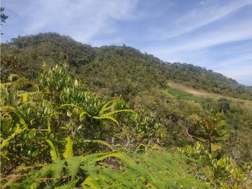 vendo finca san vicente Ferrer Antioquia, 14 hectáreas  CH- Mo