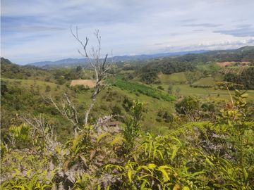 vendo finca san vicente Ferrer Antioquia, 14 hectáreas  CH- Mo