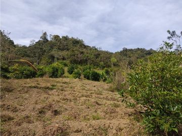 vendo finca san vicente Ferrer Antioquia, 14 hectáreas  CH- Mo